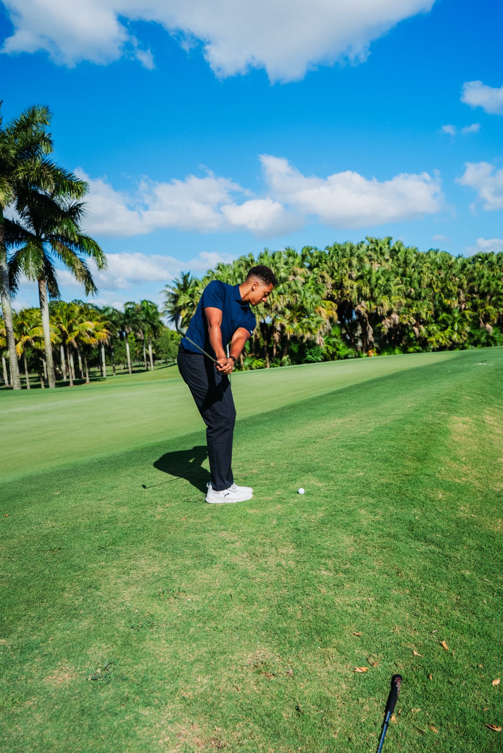 Golfer chipping on the fairway, palms behind